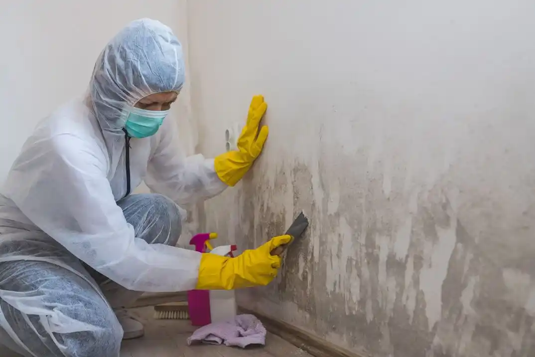 water damage restoration service Onate
